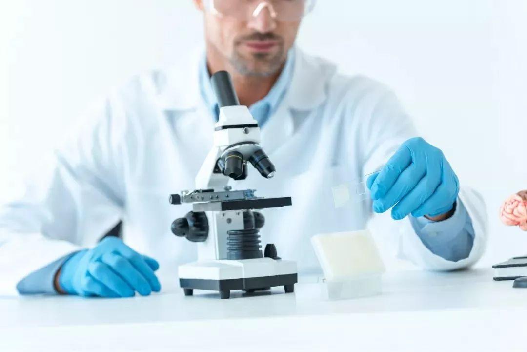 锌硒宝片如何(锌硒宝片的吃法)-硒宝网