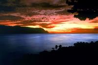 锌硒宝片孕吐(锌硒宝片可以缓解孕吐吗)-硒宝网