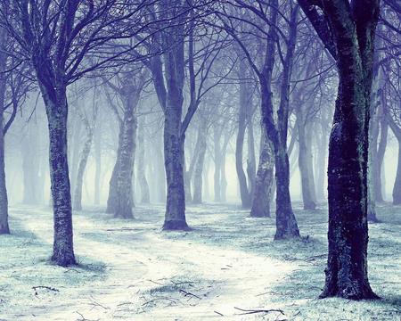 吃锌硒宝牙疼(锌硒宝片孩子吃会早熟吗)-硒宝网