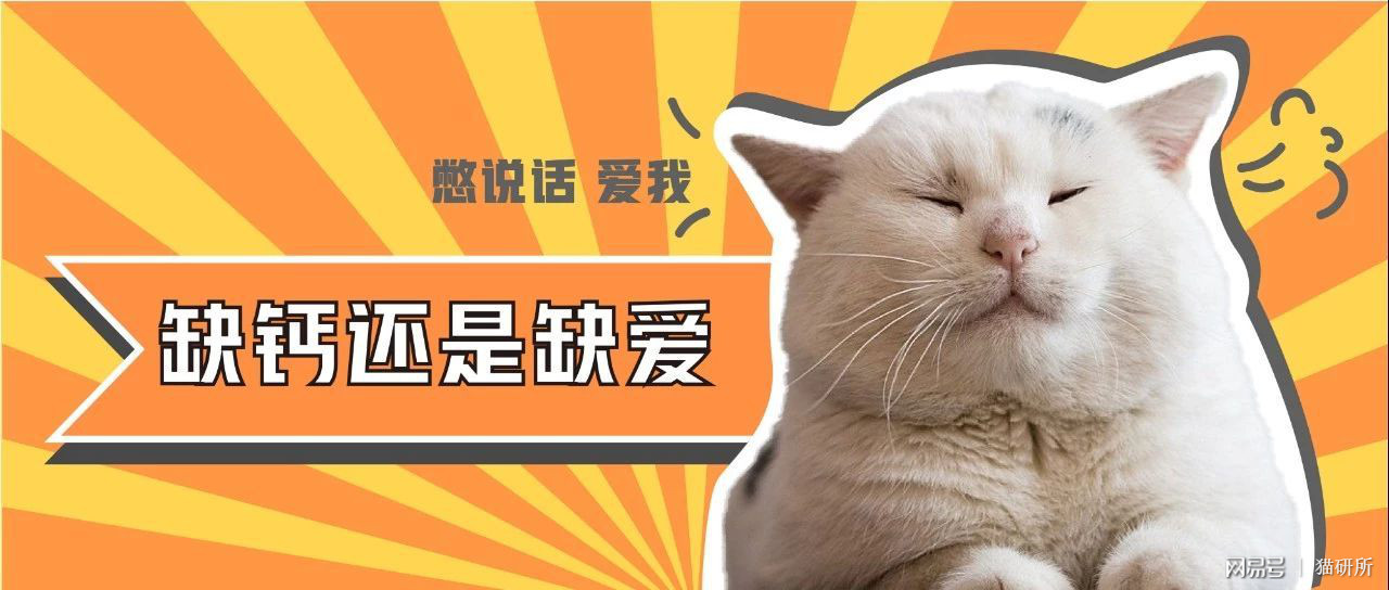 猫吃什么补钙（猫补钙吃什么好）-硒宝网