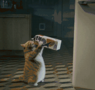 猫吃什么补钙（猫补钙吃什么好）-硒宝网