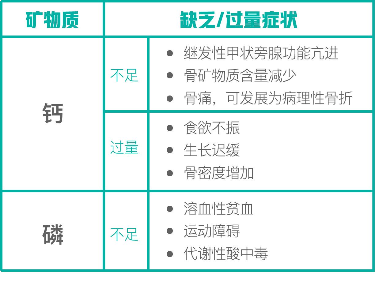 猫吃什么补钙（猫补钙吃什么好）-硒宝网