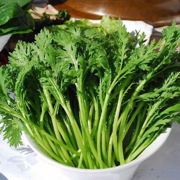 锌硒宝片评测(锌硒宝片十大排行)-硒宝网