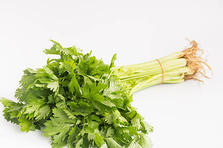 新生儿多大开始补钙(多大新生儿开始补钙最好)-硒宝网