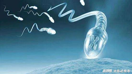 锌硒宝治早泄（锌硒宝治什么）-硒宝网