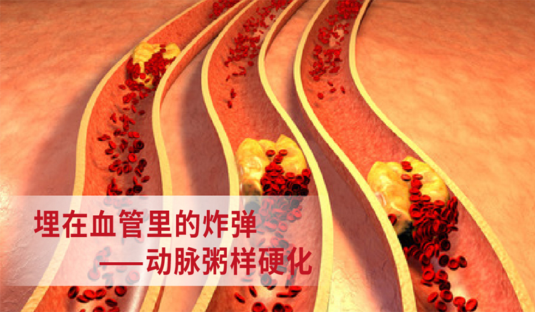 锌硒宝对心脏(锌硒宝有什么副作用吗)-硒宝网