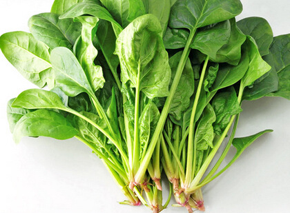 枸杞补铁吗(枸杞补铁补血吗)-硒宝网