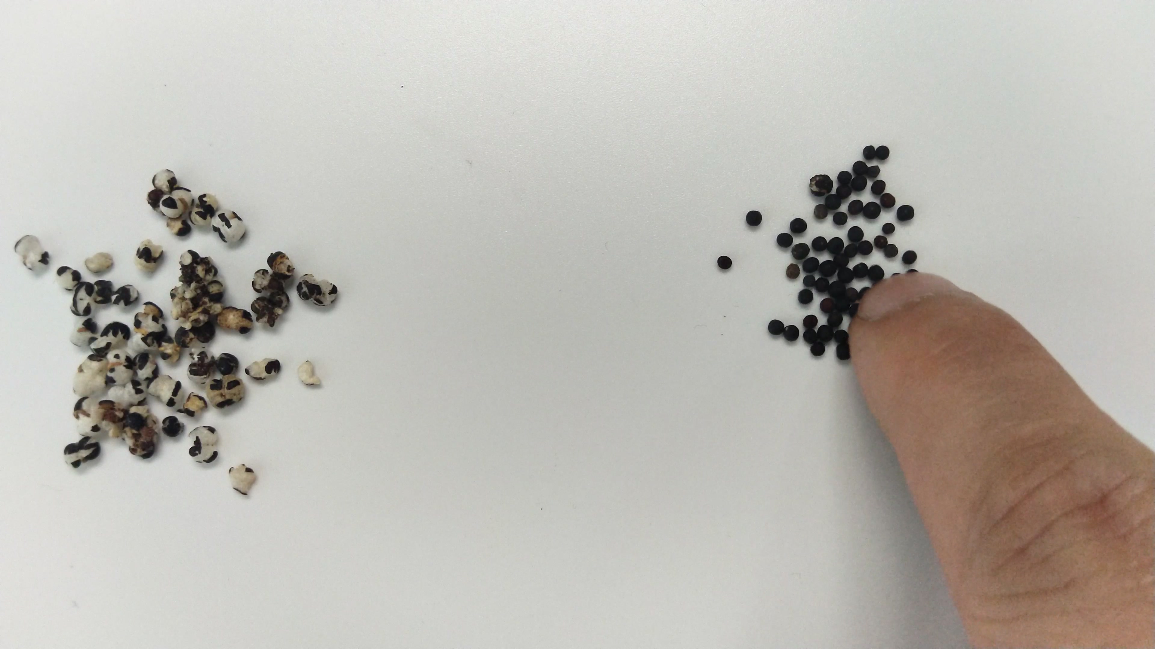 锌硒宝能衰老(锌硒宝可以增强免疫力吗)-硒宝网