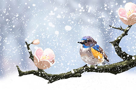 最补钙的10种食物（食物中补钙最好的食品是什么）-硒宝网