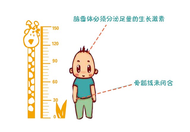 补钙真的能长高吗(长高补钙吃什么钙片)-硒宝网