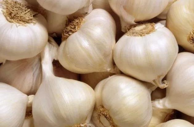 锌硒宝高吉星（高吉星儿童锌硒片）-硒宝网