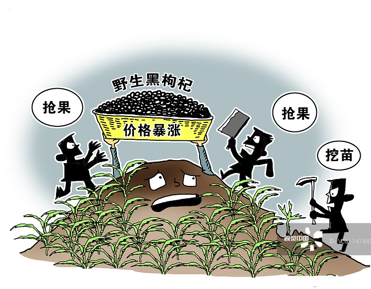 锌硒宝对孕妇(孕妇吃的锌硒宝是哪个)-硒宝网