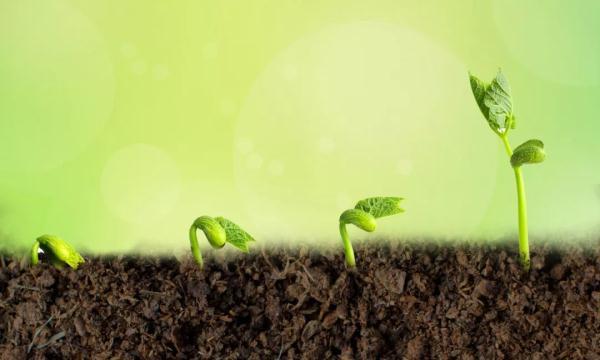 婴儿多大开始补钙(多大婴儿开始补钙比较好)-硒宝网