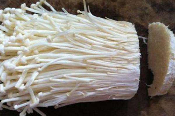 锌硒宝治胃疼（锌硒宝片的禁忌）-硒宝网