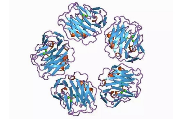 锌硒宝含碘吗(锌硒宝补碘吗)-硒宝网