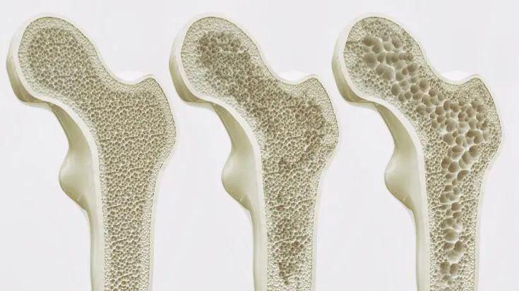 锌硒宝和玛咖（锌硒宝是不是涉及虚假宣传）-硒宝网