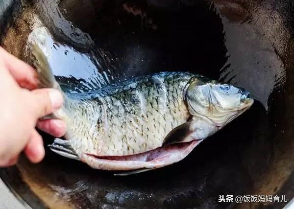 鲫鱼豆腐汤补钙吗（豆腐鲫鱼汤补钙吗）-硒宝网