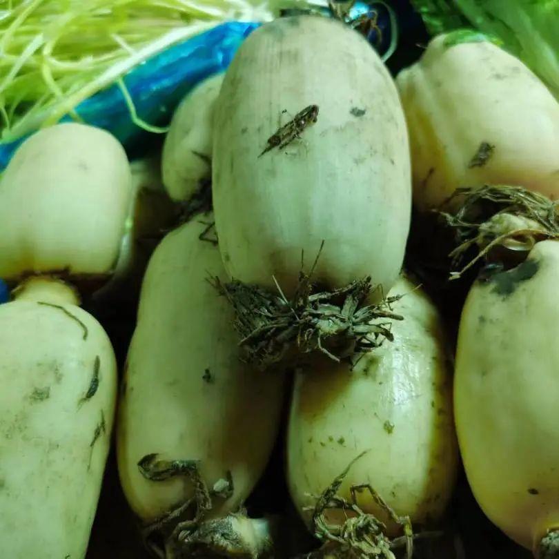 鲫鱼豆腐汤补钙吗(豆腐鲫鱼汤补钙还是补钙)-硒宝网