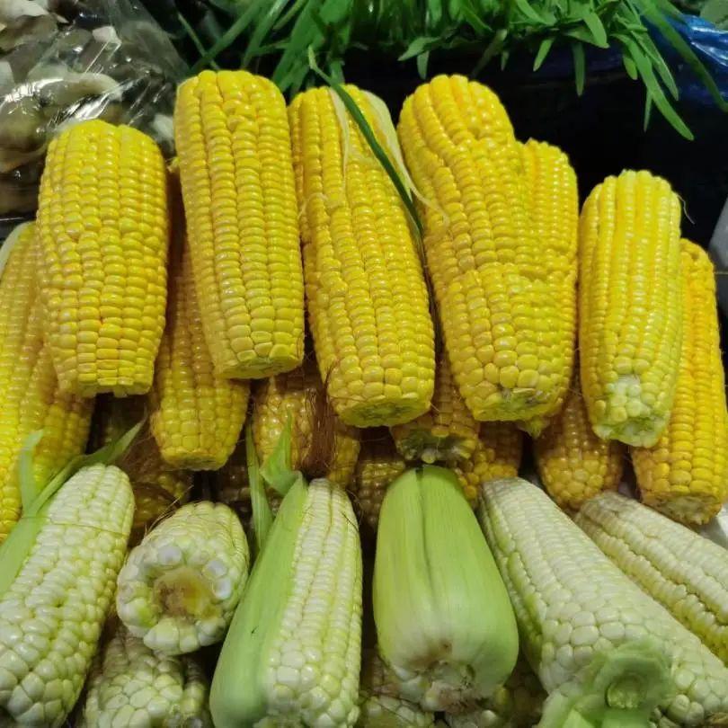 鲫鱼豆腐汤补钙吗(豆腐鲫鱼汤补钙还是补钙)-硒宝网