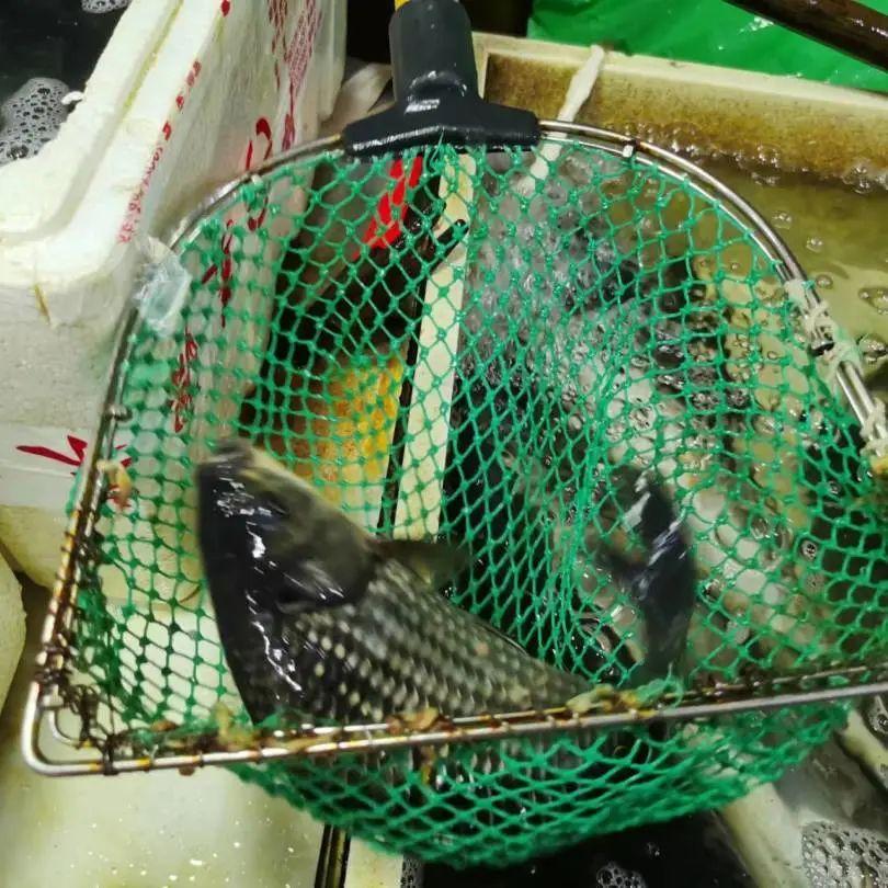 鲫鱼豆腐汤补钙吗(豆腐鲫鱼汤补钙还是补钙)-硒宝网