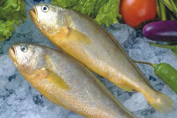 吃鱼补钙吗(哪种鱼补钙)-硒宝网