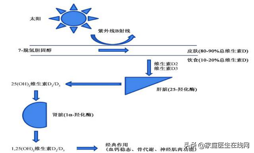 补钙吃什么维生素（维生素补钙吃什么好）-硒宝网