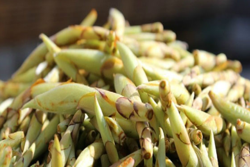 锌硒宝健脾胃(锌胃健脾宝硒含量高吗)-硒宝网