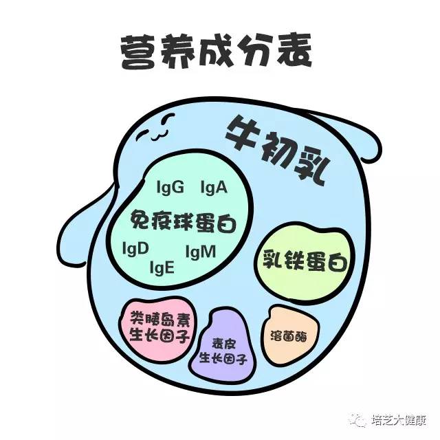 吃什么能补铁(能吃补铁的药吗)-硒宝网