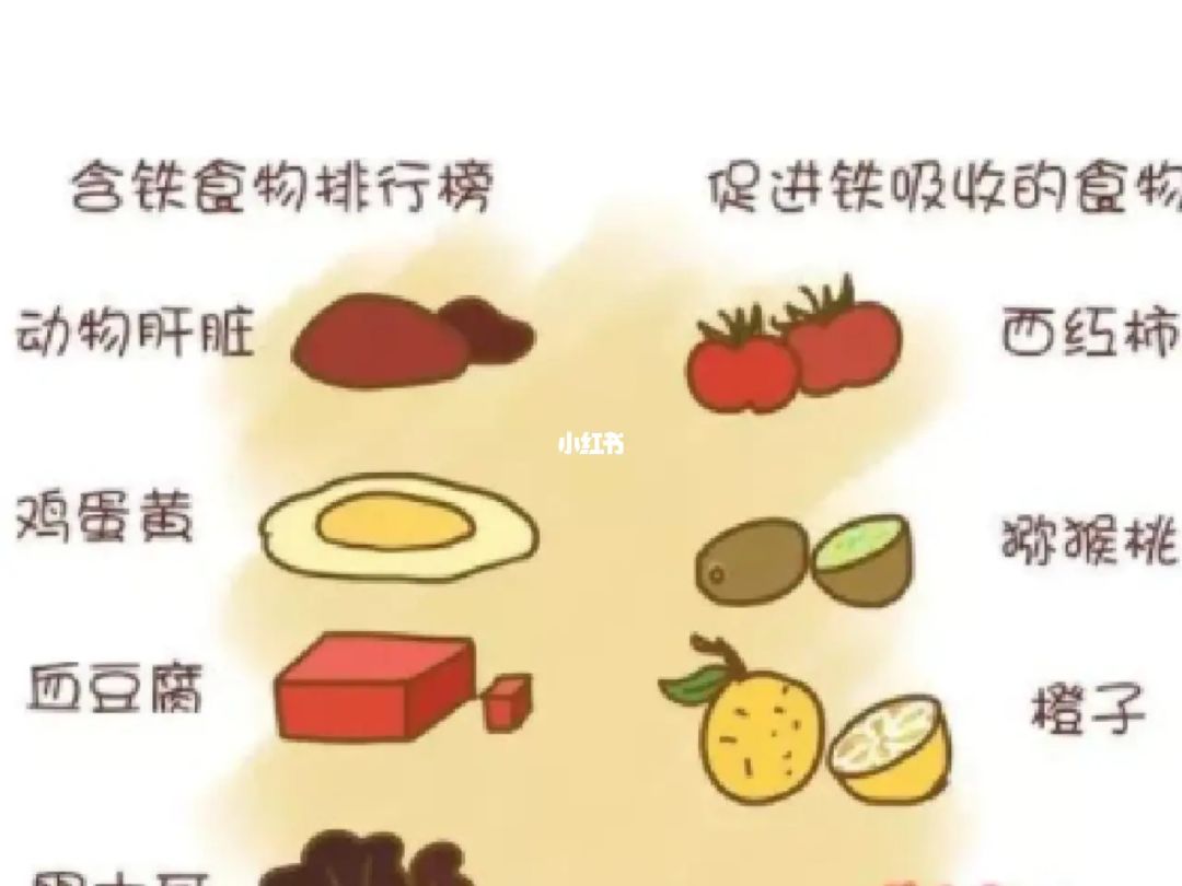 吃什么能补铁(能吃补铁的药吗)-硒宝网