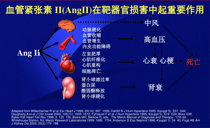 锌硒宝片弱精（锌硒宝生精吗）-硒宝网