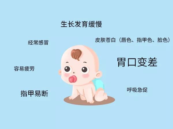 吃什么能补铁（平时可以吃补铁的药吗）-硒宝网
