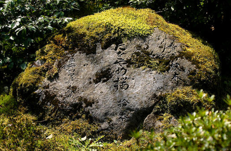补钙钙片(补钙钙片什么时候吃最好)-硒宝网