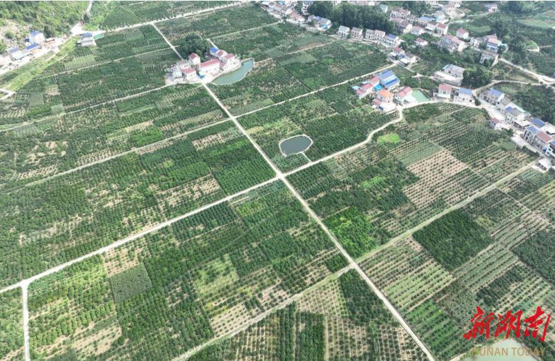 锌硒宝绿建园(绿健园锌硒宝)-硒宝网