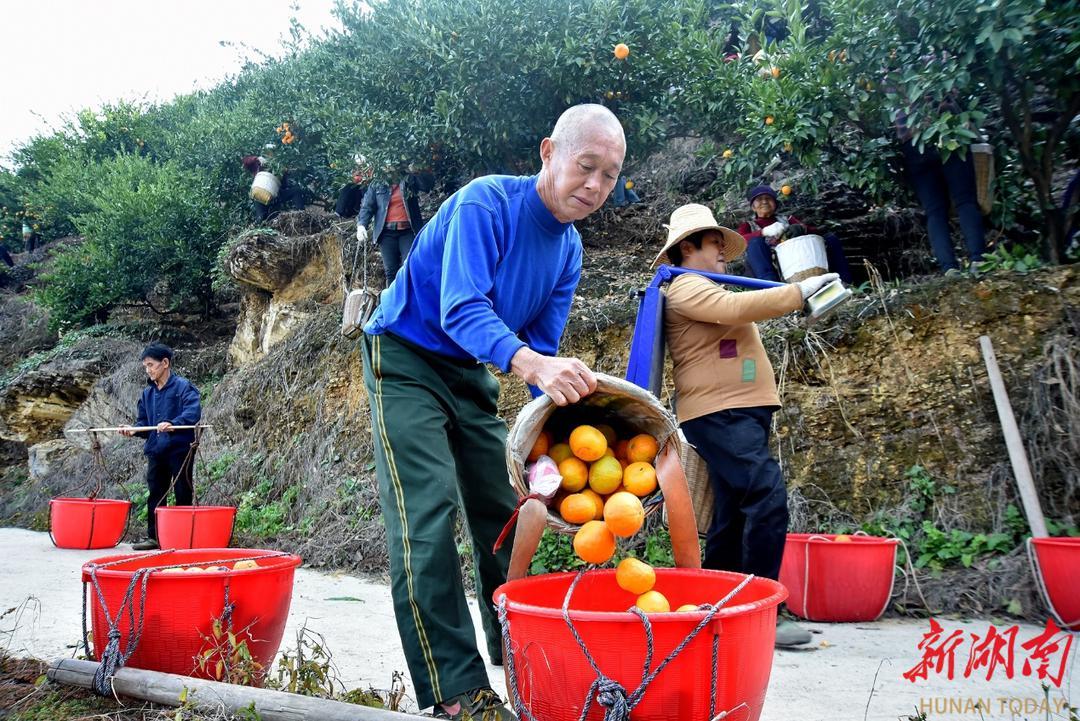 锌硒宝绿建园(绿健园锌硒宝)-硒宝网