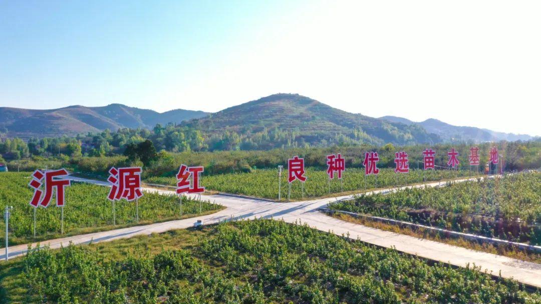 锌硒宝绿建园（绿健园锌硒宝虚假宣传）-硒宝网