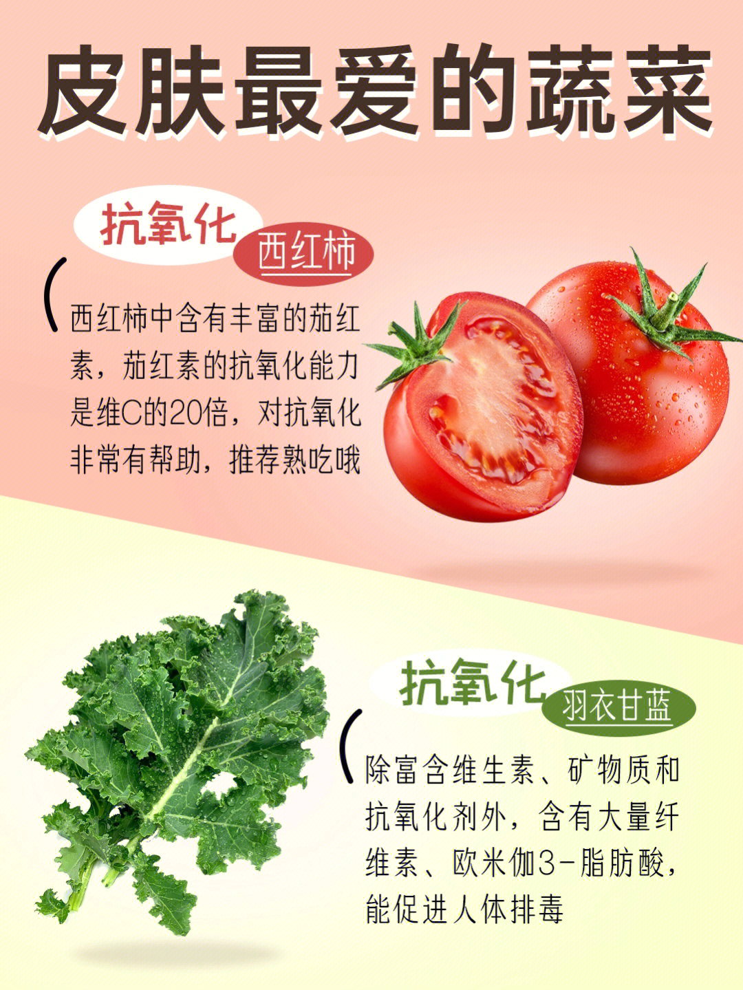 菠菜可以补铁吗（菠菜补铁可以一直吃吗）-硒宝网