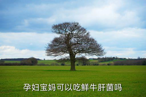 锌硒宝片发苦（锌硒宝片过量）-硒宝网