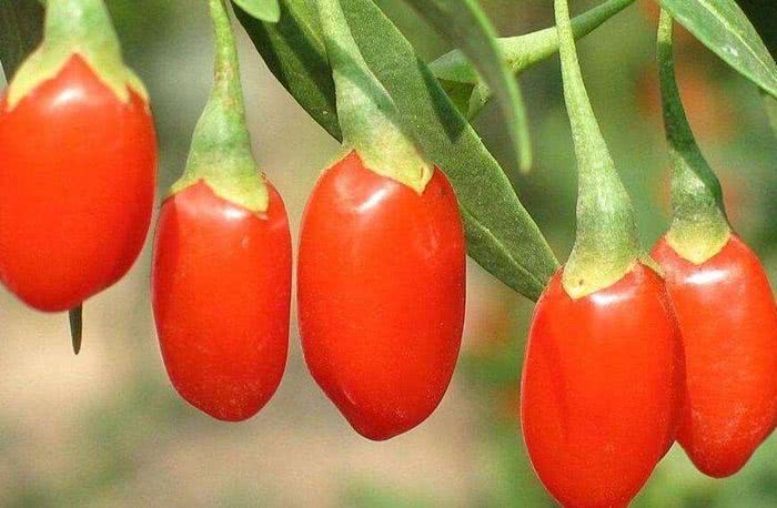 吃什么补钠效果最好的(补钠的药口服药)-硒宝网