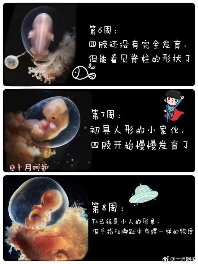 善存片锌硒宝(锌硒宝片善卡优)-硒宝网