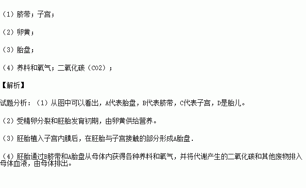 善存片锌硒宝(锌硒宝片善卡优)-硒宝网