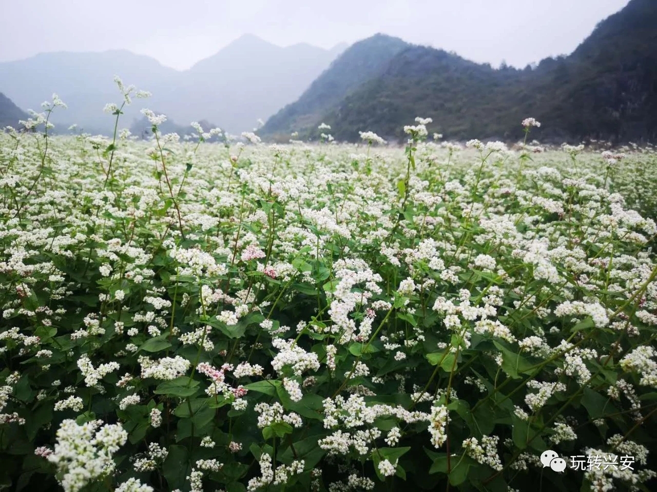 吃什么补钠效果最好的(补钠的药)-硒宝网