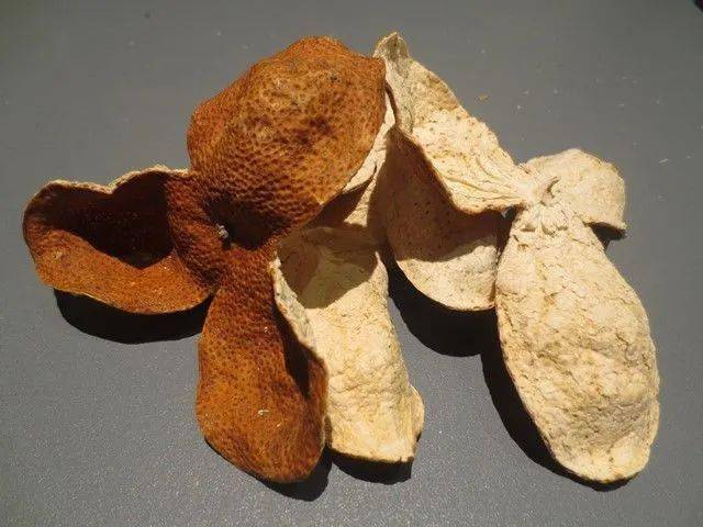 如何给牙齿补钙(牙齿补钙吃什么药)-硒宝网