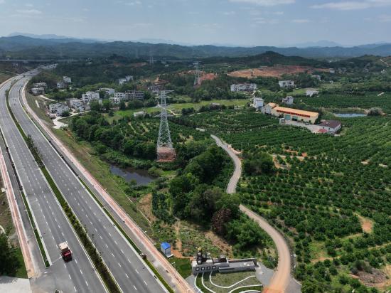 富硒农产品特色(富硒产品的特色是什么)-硒宝网