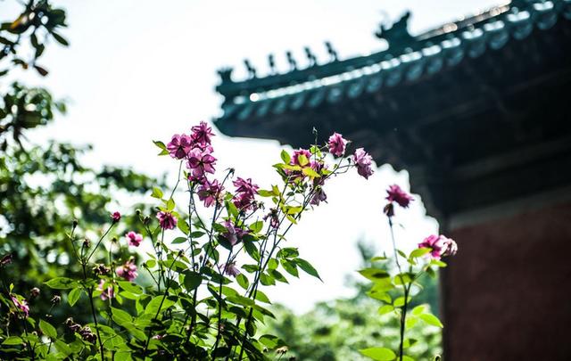 湖北有哪些地方(湖北地方有哪些地名)-硒宝网