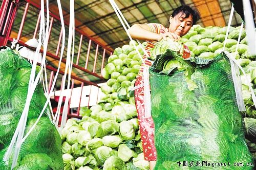 富硒地瓜怎么吃（富硒地瓜吃了胖吗）-硒宝网