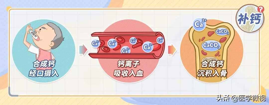 成人怎样补钙（成人补钙哪种钙好）-硒宝网