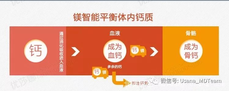 成人怎样补钙（成人补钙哪种钙好）-硒宝网