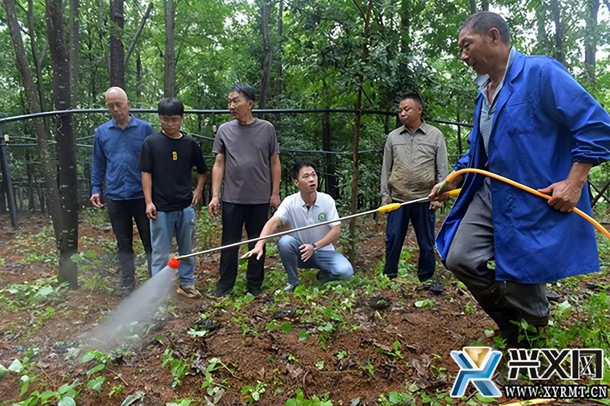 富硒灵芝孢子粉(富硒灵芝孢子粉)-硒宝网