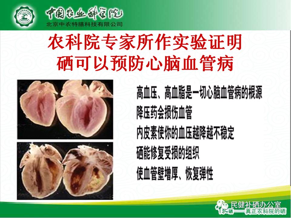 硒的作用与功效(硒的药用功效)-硒宝网