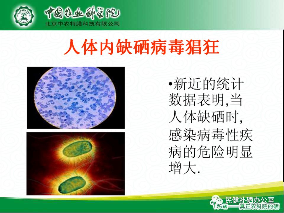 硒的作用与功效(硒的药用功效)-硒宝网